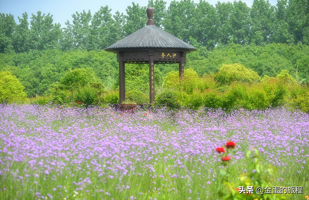 苏州旅游沙家浜,人人都知江南好下一句