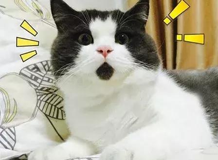 最快45天拿证是真的吗,45天拿到驾驶证