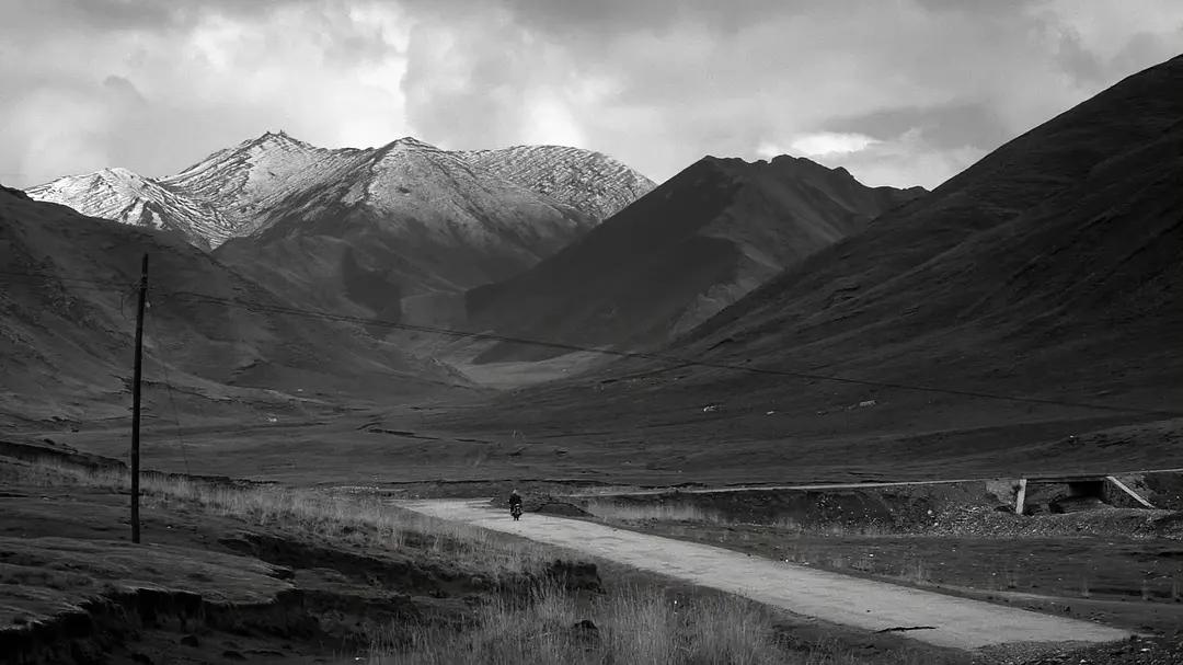 40岁牧羊人被发廊妹骗去16万血汗钱，这电影后劲太大