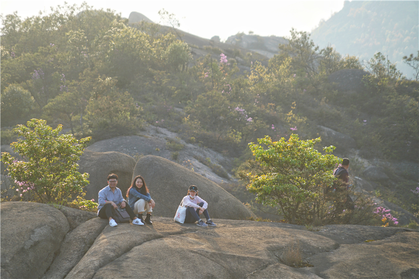 江南水乡旅游攻略四天三晚,温州旅行攻略四天三夜
