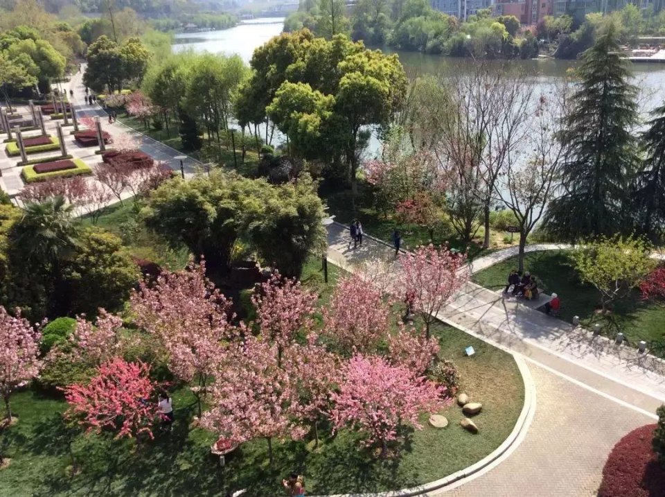 免费公园南京,南京江北免费公园