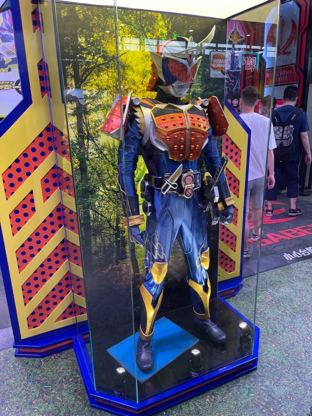 wf展回顾,下届wf展