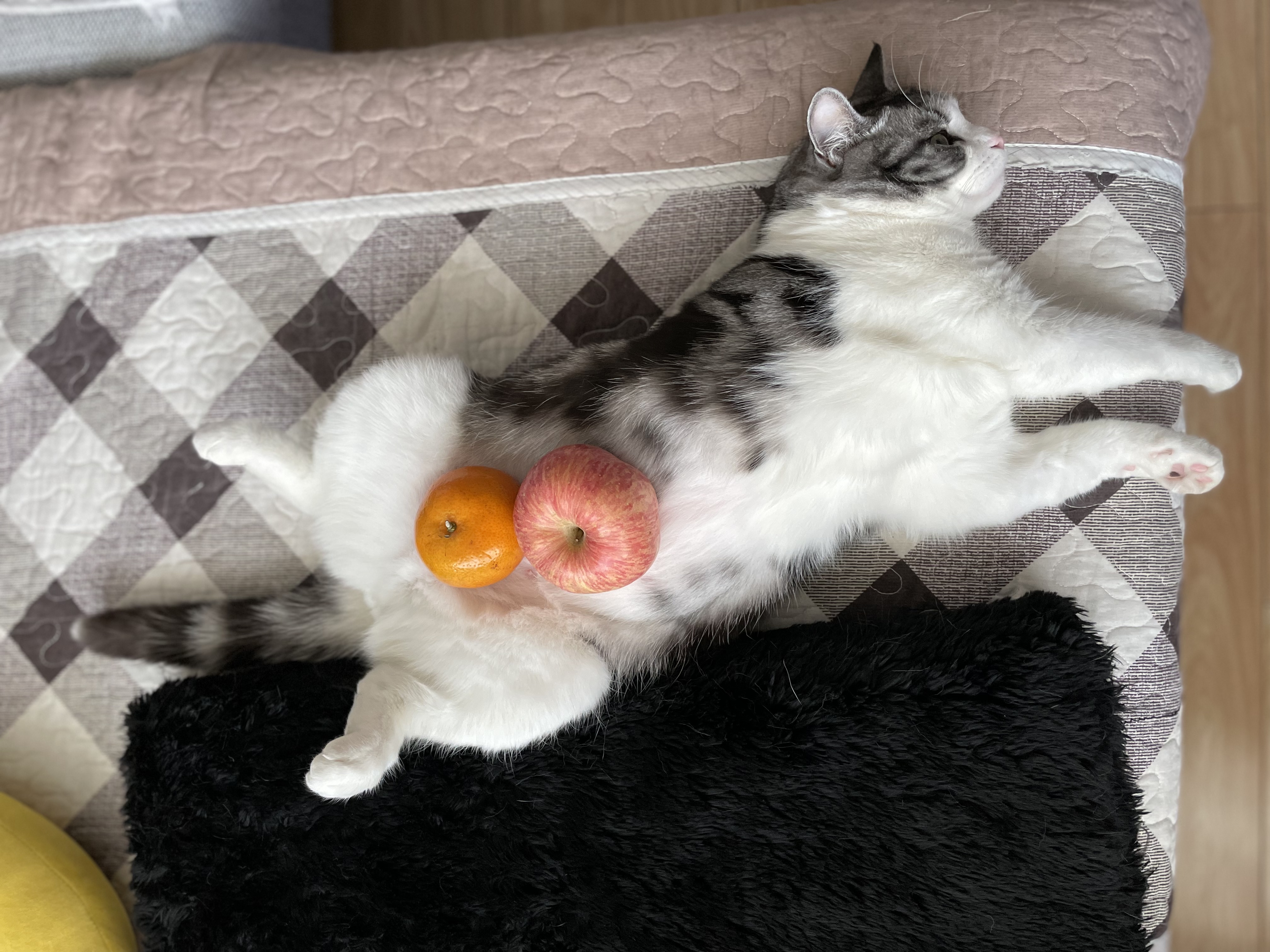 游资大佬炒股养家十大心法,顶级游资干货