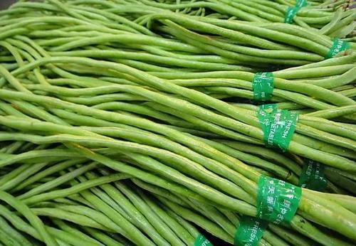 爱吃豆角的一定要收藏,肉末豇豆的家常做法懒人