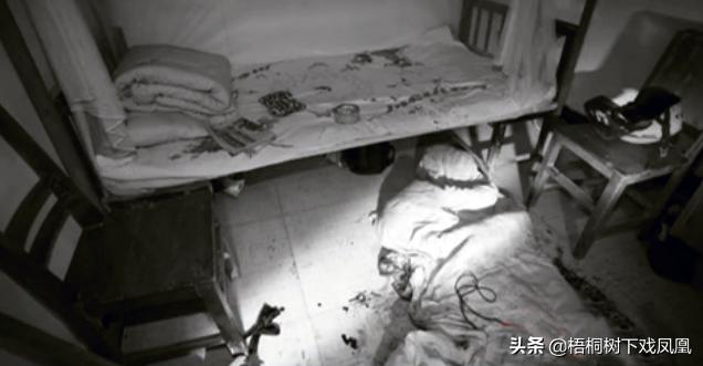 看电视鉴宝获得灵感,带老乡盗抢博物馆,得手36小时后警察找上门