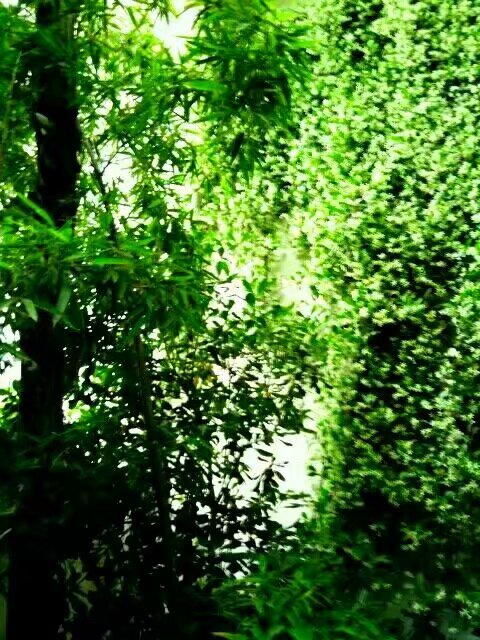 幽默风趣石头,石头幽默