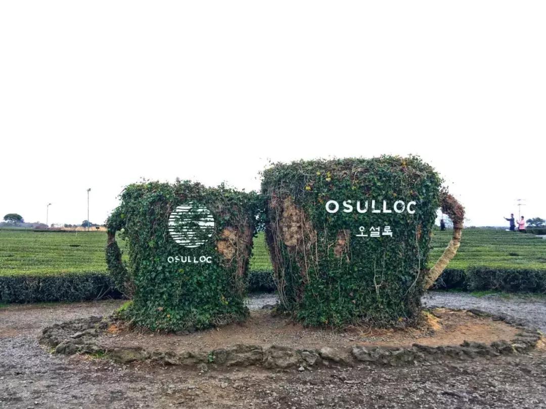 济州岛小清新旅游攻略,济州岛冬日街景