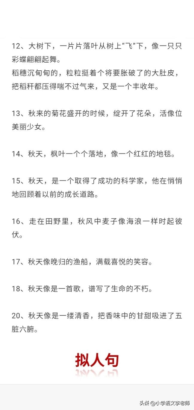 小学语文比喻句拟人句排比句大全,小学语文比喻句拟人句排比句句意