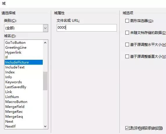 邮件合并excel中照片导入word,邮件合并将图片批量放入word表格