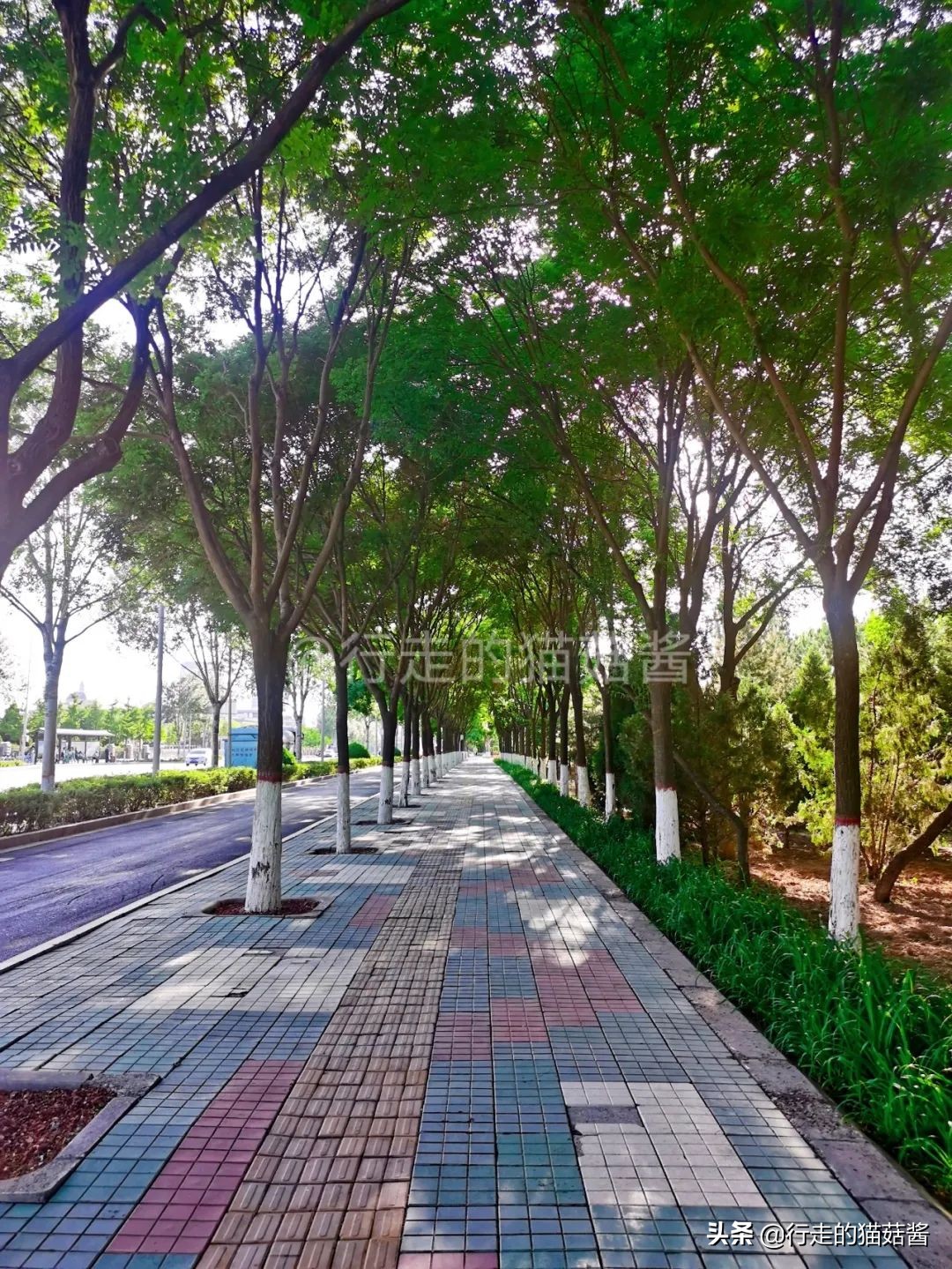 来银川必须去的三个地方,第一次去银川