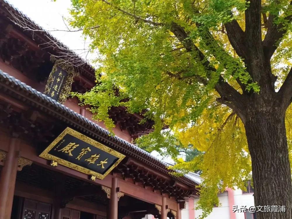 霞浦博物馆镇馆之宝,霞浦博物馆附近