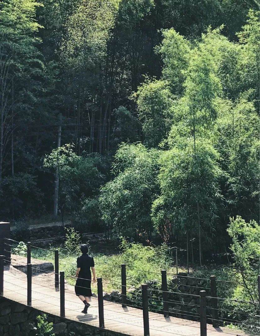 绍兴原汁原味的江南水乡,绍兴最原汁原味的江南水乡古镇