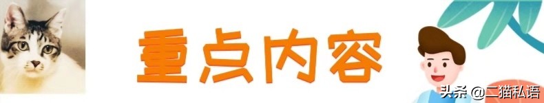 猫咪咬断的线,为什么猫咪喜欢把绳子咬断