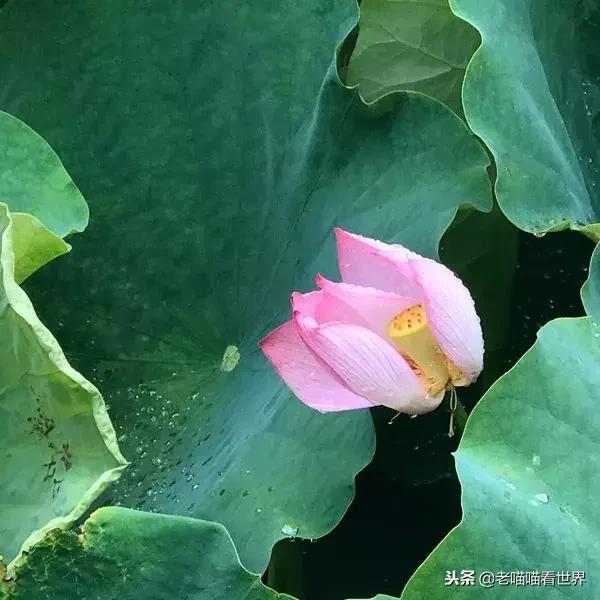 最容易被误解的8个文史常识,经常被误解的文史常识