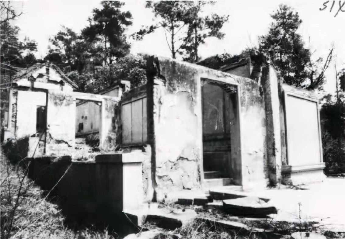 南京紫金山保卫战的前因后果,南京保卫战紫金山战役图片