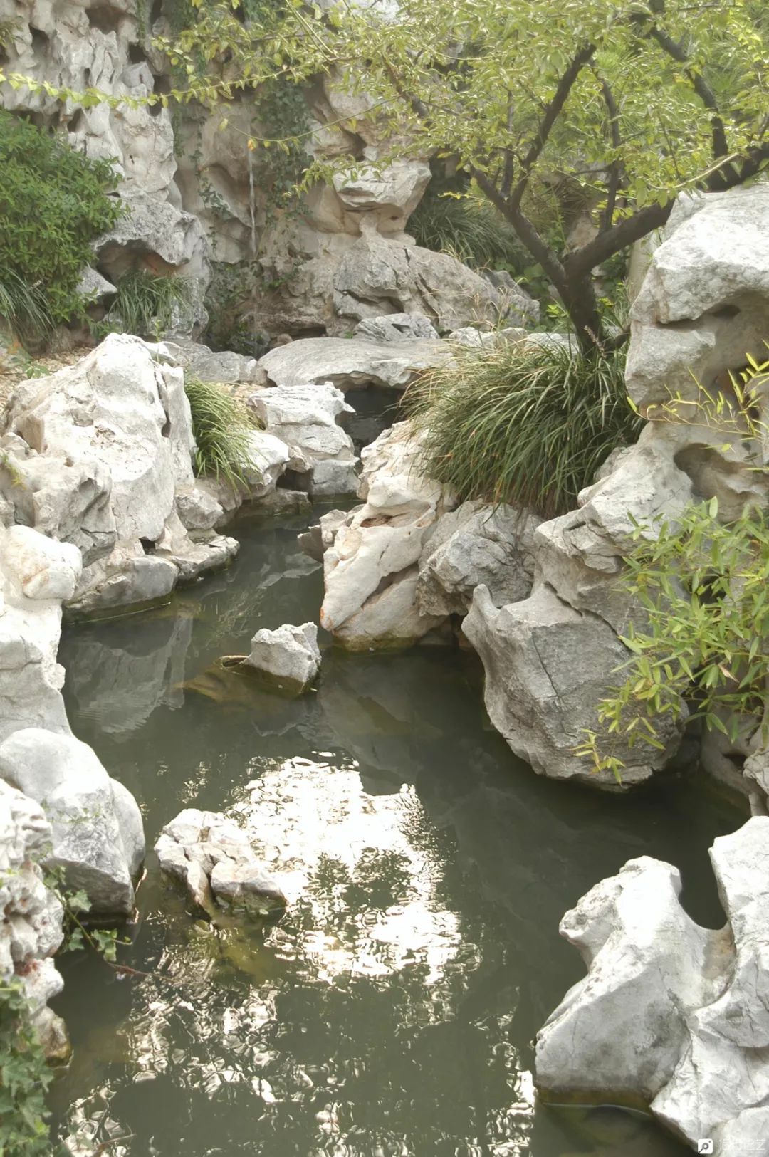 大叔花700万建的花园别墅,太湖石苏州