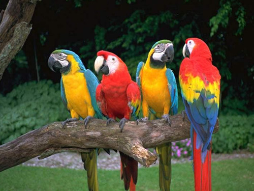 那些全球无法解释的神秘事件,盘点全球十大未解真实事件