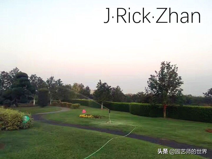 适合北方庭院种植的低矮草坪,家庭庭院怎样混搭种植草坪和蔬菜