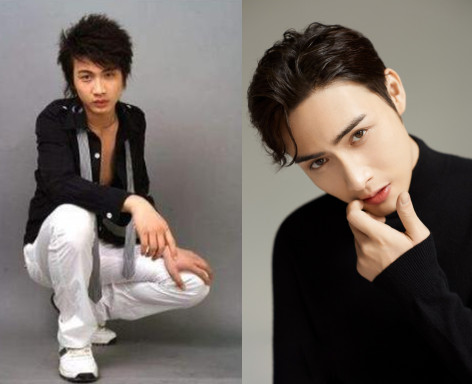 张彬彬演司藤涨粉多少,张彬彬粉丝说司藤是靠男主火的