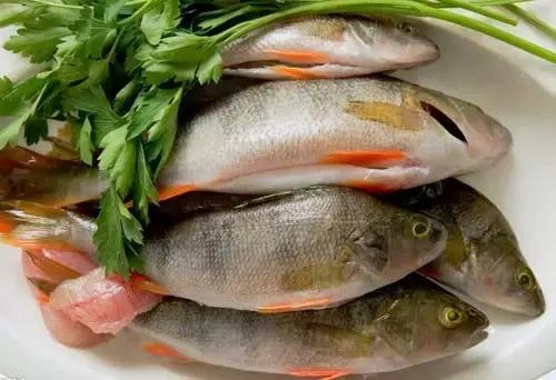 寿光羊口哪个海鲜好,寿光羊口开海节2022年