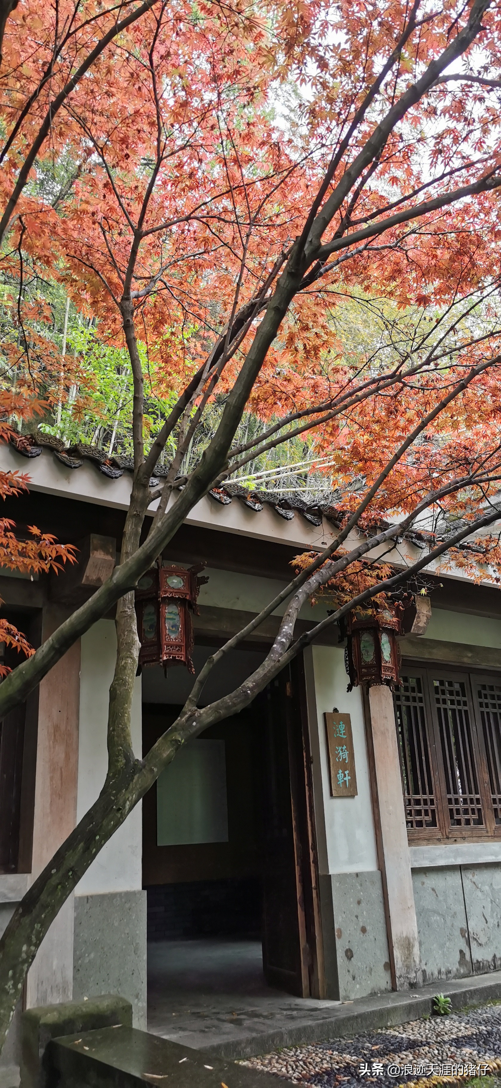 千岛湖疫情政策,千岛湖景区半价优惠