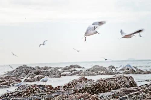 在青岛玩什么比较好,青岛该怎么玩三天两夜