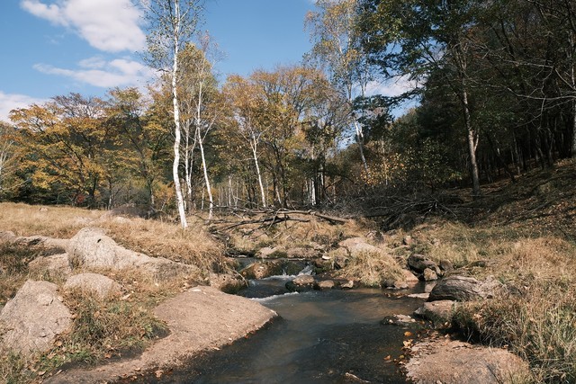 富士小巧轻便,富士轻便的相机