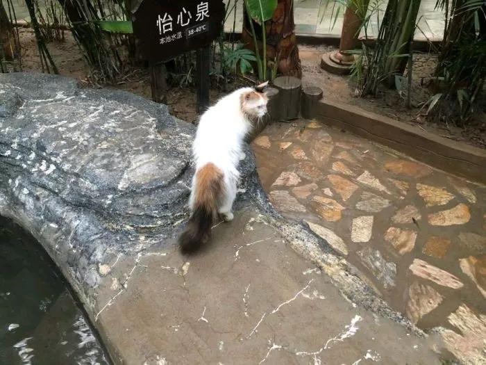 天津最高端洗浴排行第一,天津比较好的洗浴中心