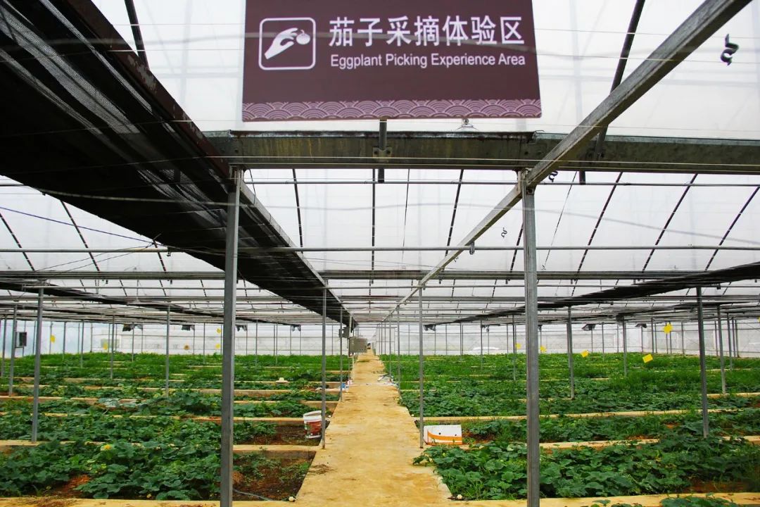 钟山水墨画廊附近旅游攻略,钟山水墨画廊自驾游