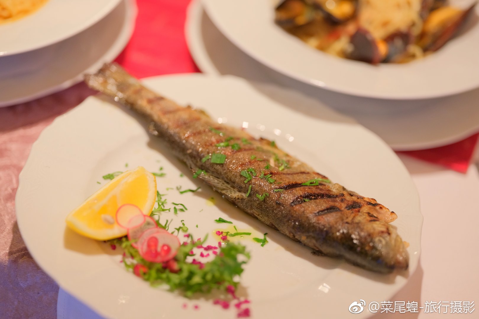 贝尔格莱德旅游免签,东欧冬天旅游攻略