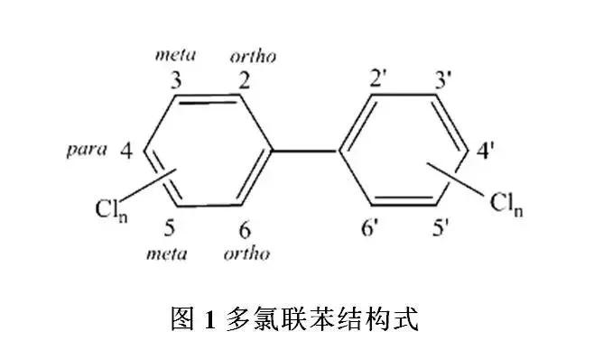 毒性最强的食物排行榜,营养专家公布了12种有毒的食物