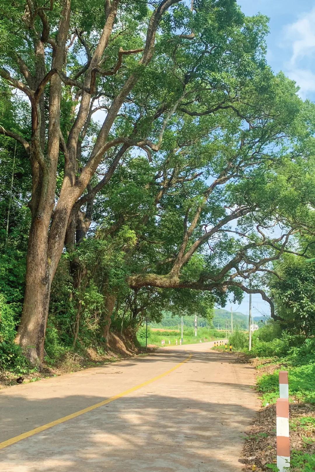 韶关丹霞山一日旅游攻略,去韶关丹霞山旅游攻略