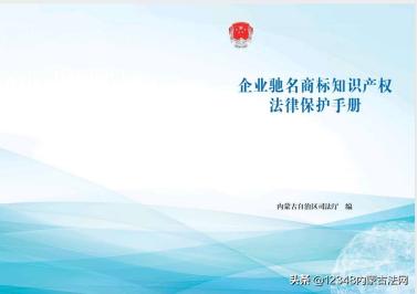 企业驰名商标知识产权法律保护手册