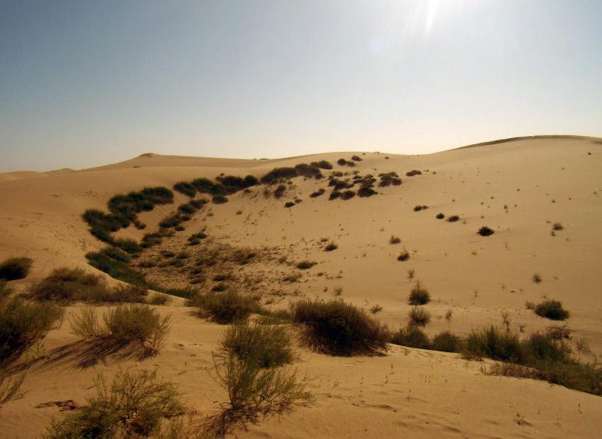 世界未解之谜沙漠中的雕像,专家在沙漠发现雕像