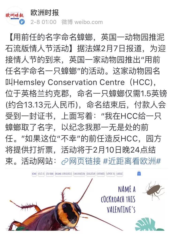 单身狗情人节打王者,情人节单身狗和情侣