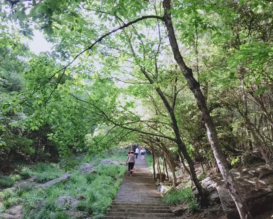 武汉最新古与潮室内网红打卡点,武汉周边新晋7大网红打卡地