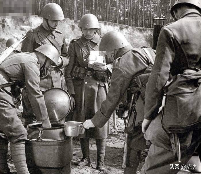 二战德国的仆从国谁伤亡最惨重,二战德国因为寒冷而输掉的战役