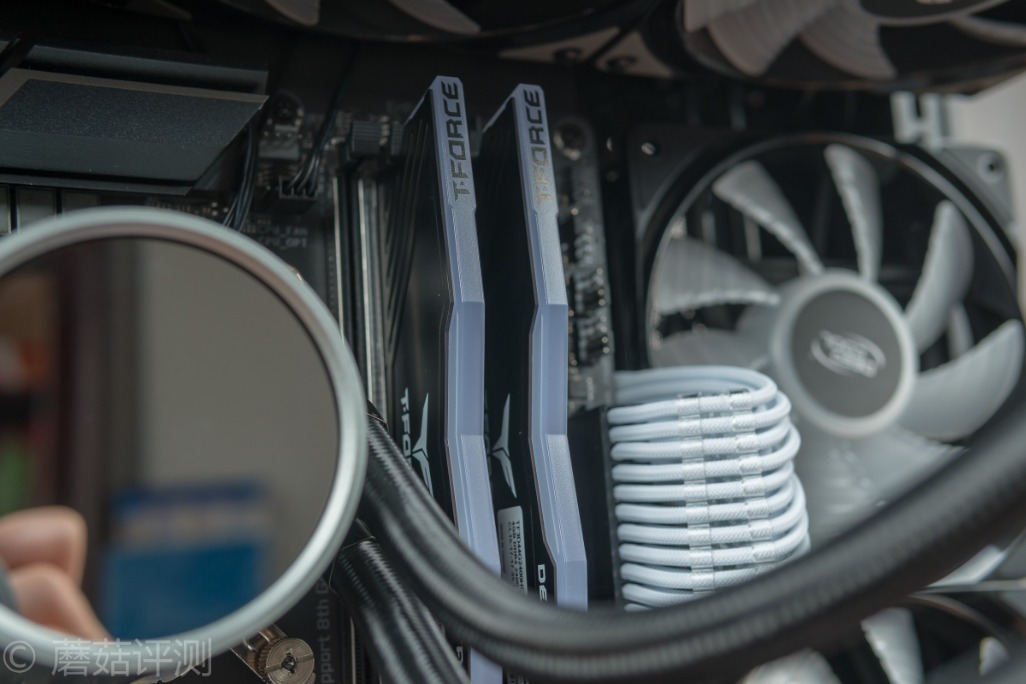 十铨deltargb,十铨team内存几线品牌