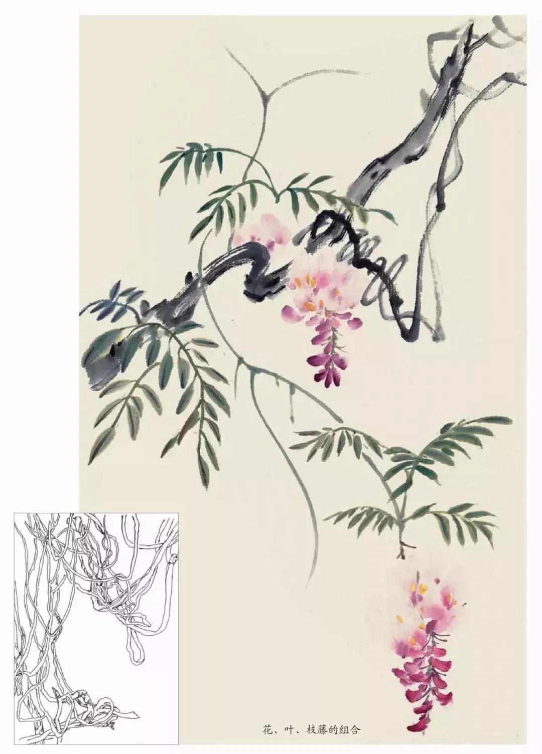 国画中各种花卉的画法,国画花卉画法步骤视频教程