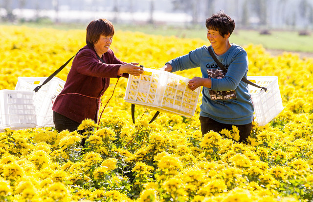 快速致富的100种门路,十种致富的方法