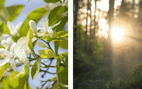 为什么衣服洗完总是有一股馊味,怎样洗汗臭味衣服才更干净