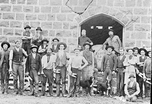 澳洲羊毛进口,澳洲进口羊毛