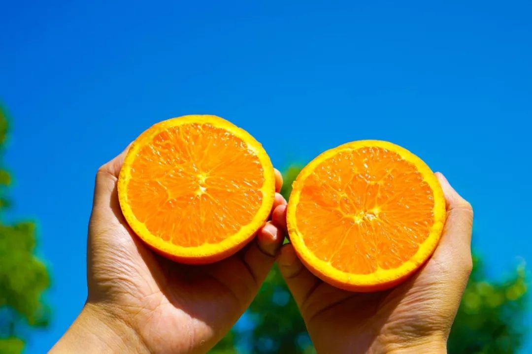 生鲜果蔬配送商城长春,全球顶级水果生鲜配送