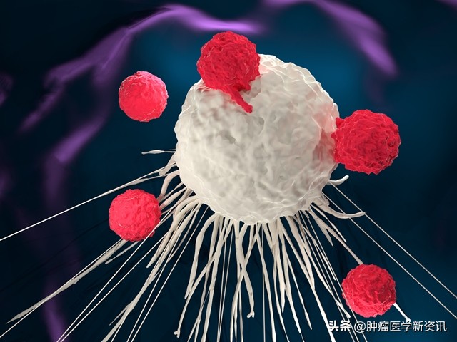 抑制癌细胞生长和扩散,为什么癌细胞不受控制