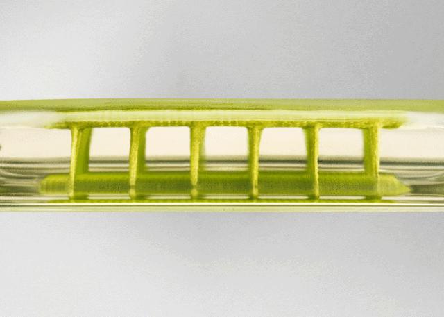 球鞋kd10,nikekd10黑白