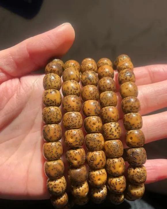 星月菩提阴皮是什么意思,星月菩提的阴皮怎么形成的