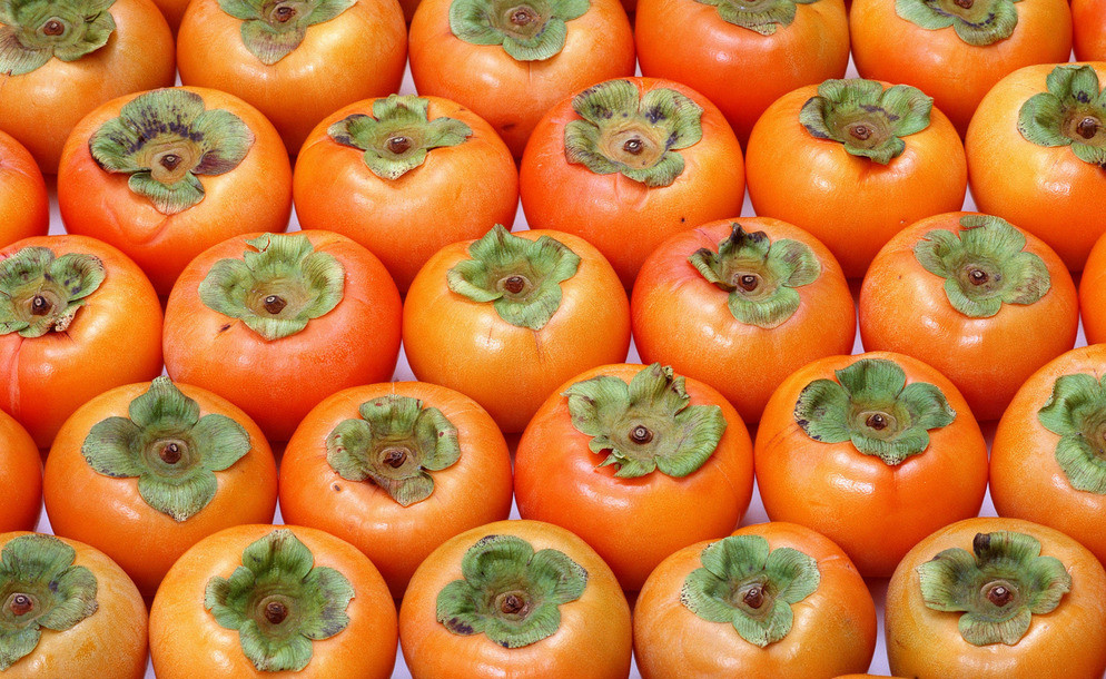 柿饼厂柿饼的保存方法和注意事项,柿子丰收后的处理方法