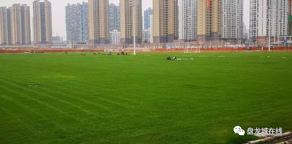 卓尔足球场建设进度,盘龙城卓尔足球学校