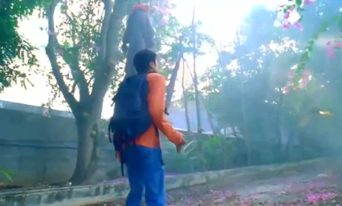 咒乐园吓过多少人,咒乐园最后结局为什么还是死了