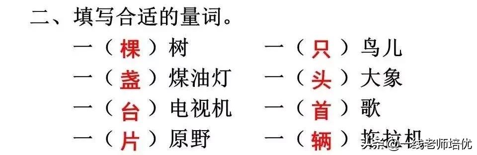 知识点+练习题▎部编版三年级语文上册8去年的树